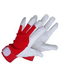  Goat Leather Gloves With...