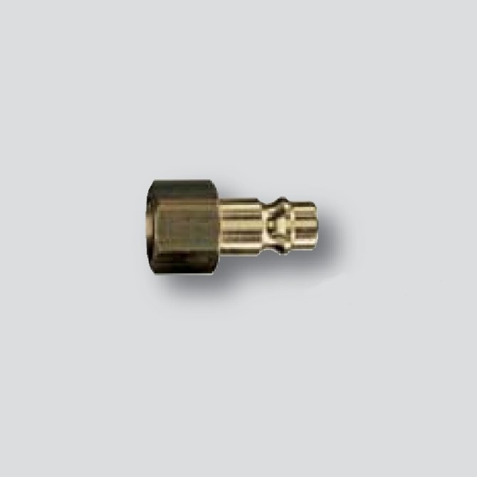 EWO Plug With Female Thread G1/4 jungties antgalis su vidiniu sriegiu