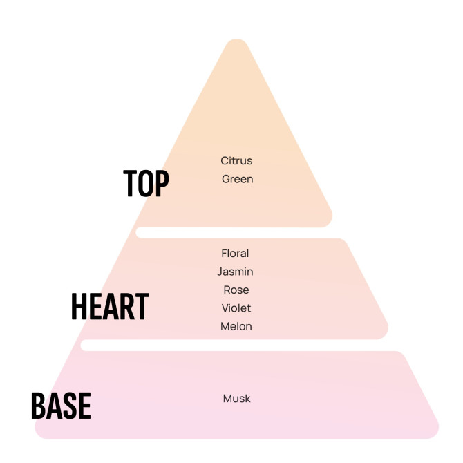 AREON mājas aromatizētājs STICKS - Spring Bouquet 85ml