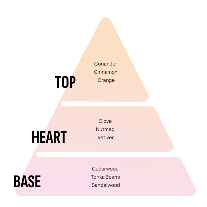 AREON Namų kvapas AREON Tortuga 85ml  