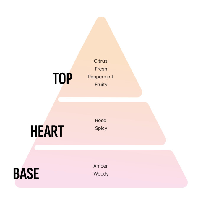 AREON Namų kvapas AREON EXCLUSIVE Aurum 150ml 