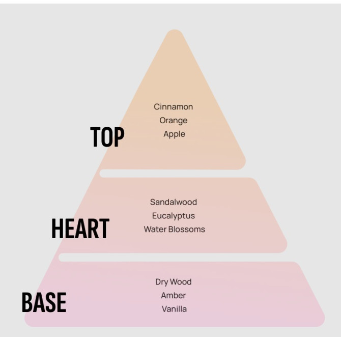 Areon Sticks EXCLUSIVE Royal gaisa atsvaidzinātājs, 230ml