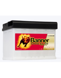 BANNER Akum. Banner EFB PRO...