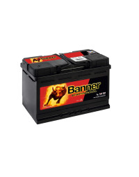 BANNER STARTING Bull Ca/Ca...