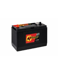 BANNER Akum.Banner Buffalo...