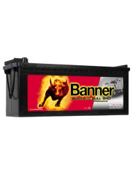 BANNER BUFFALO BULL SHD PRO...