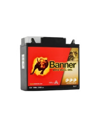 BANNER Akum.Banner 18Ah...