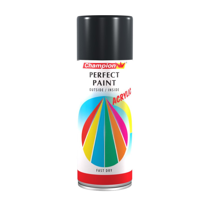 CHAMPION Dažai pilki RAL 7016  400ml 