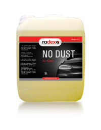 RADEX Skystis dažymo...