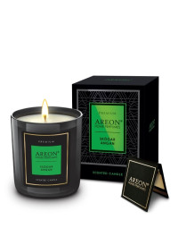 Scented candle  Skogar...