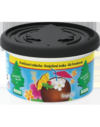 x WUNDER-BAUM FIBER CAN oro...