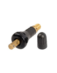  TPMS, ventilis-guminis,...