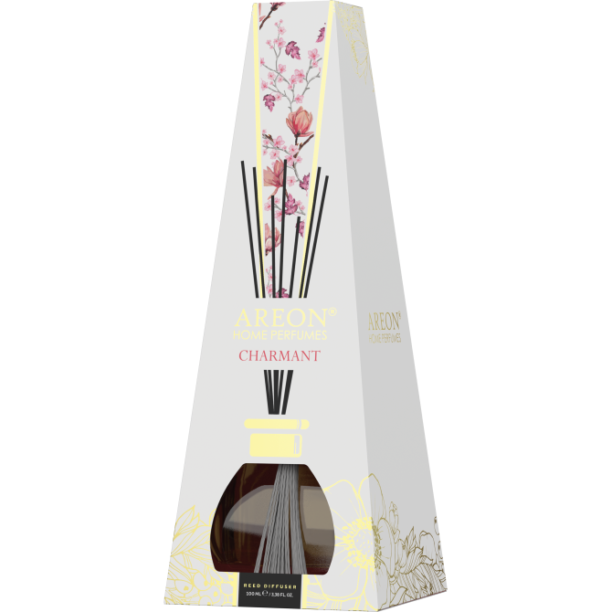 AREON EX Charmant 100 ml