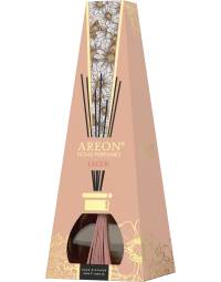 AREON EX Leger 100 ml