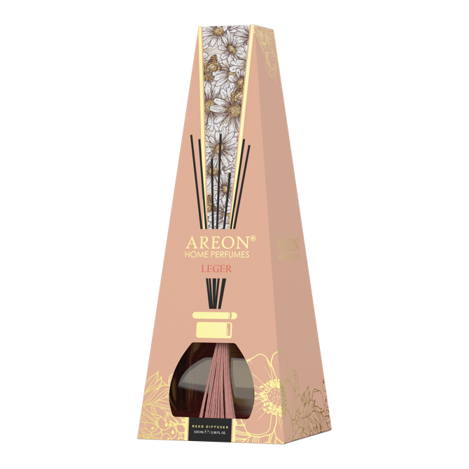 AREON EX Leger 100 ml