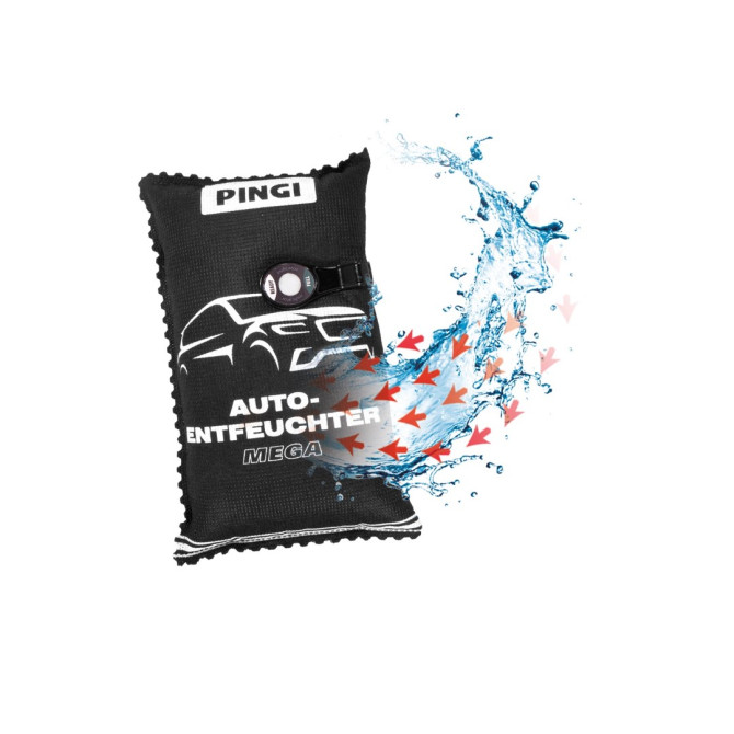 Car Dehumidifier 1000g