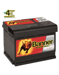 Banner Battery Bull P6219 DT