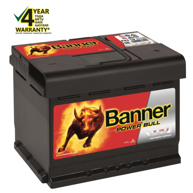 Banner Battery Bull P6219 DT