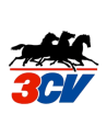 3CV